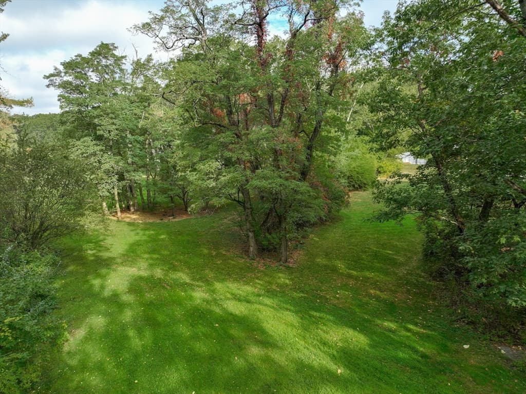 79 Goddard Avenue, Brookline MA 02445 photo 8