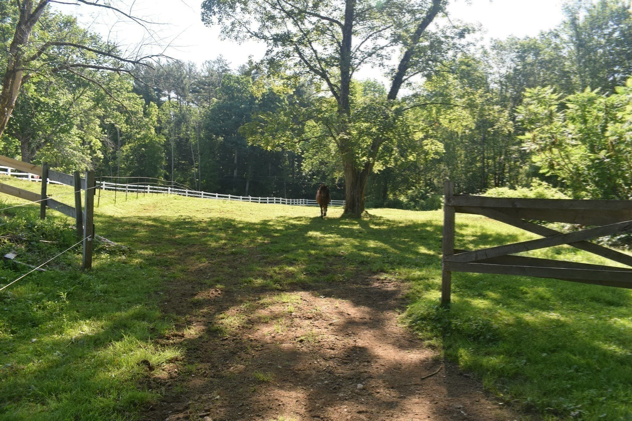 Equestrian at 111 Northwest Road, Spencer MA 01562, photo 3 of 42