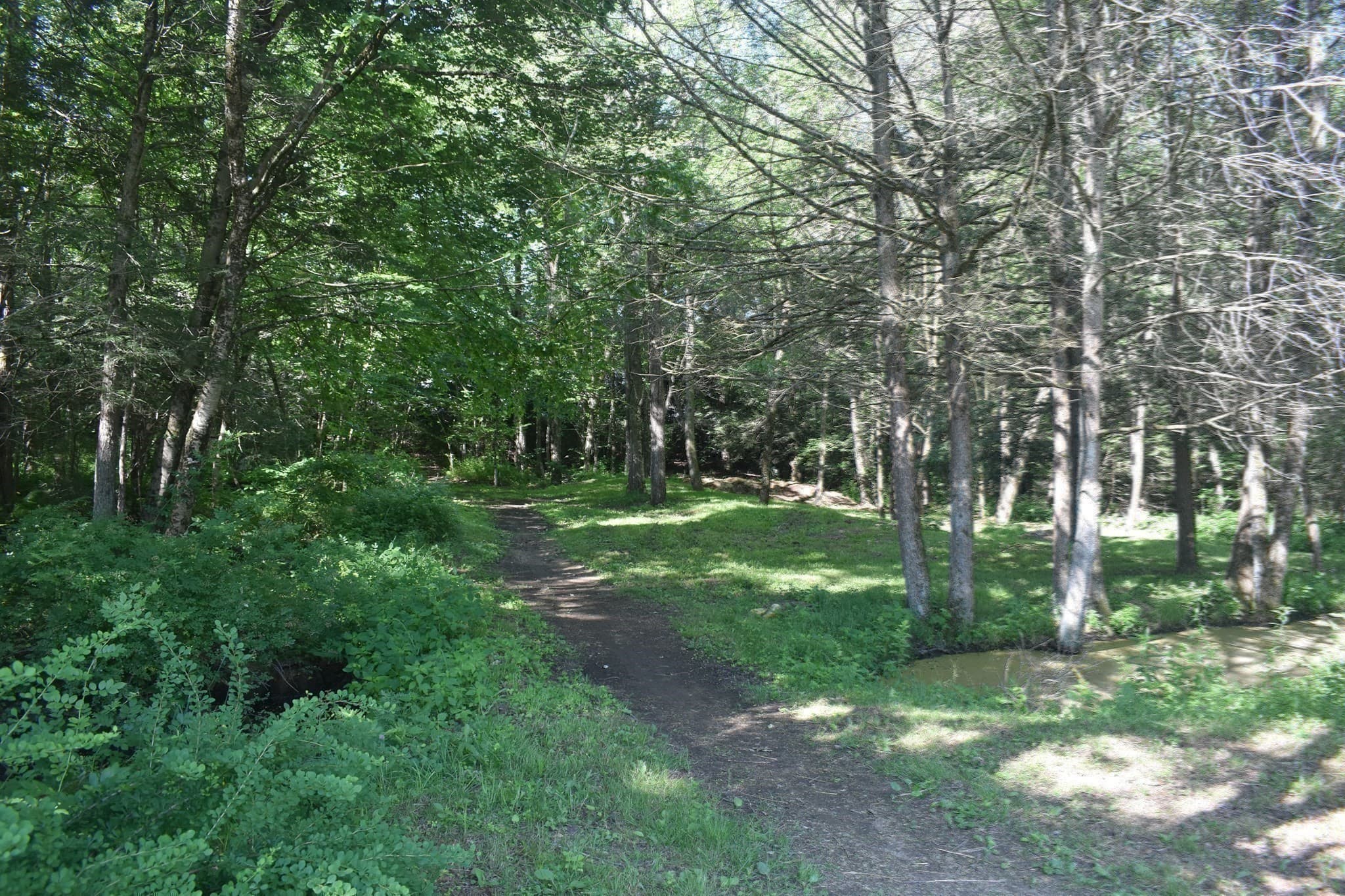 Equestrian at 111 Northwest Road, Spencer MA 01562, photo 4 of 42
