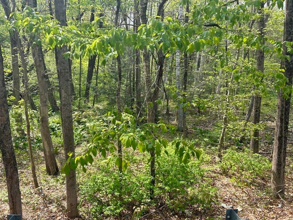 0 Parker Rd, Lancaster MA 01561 photo 2