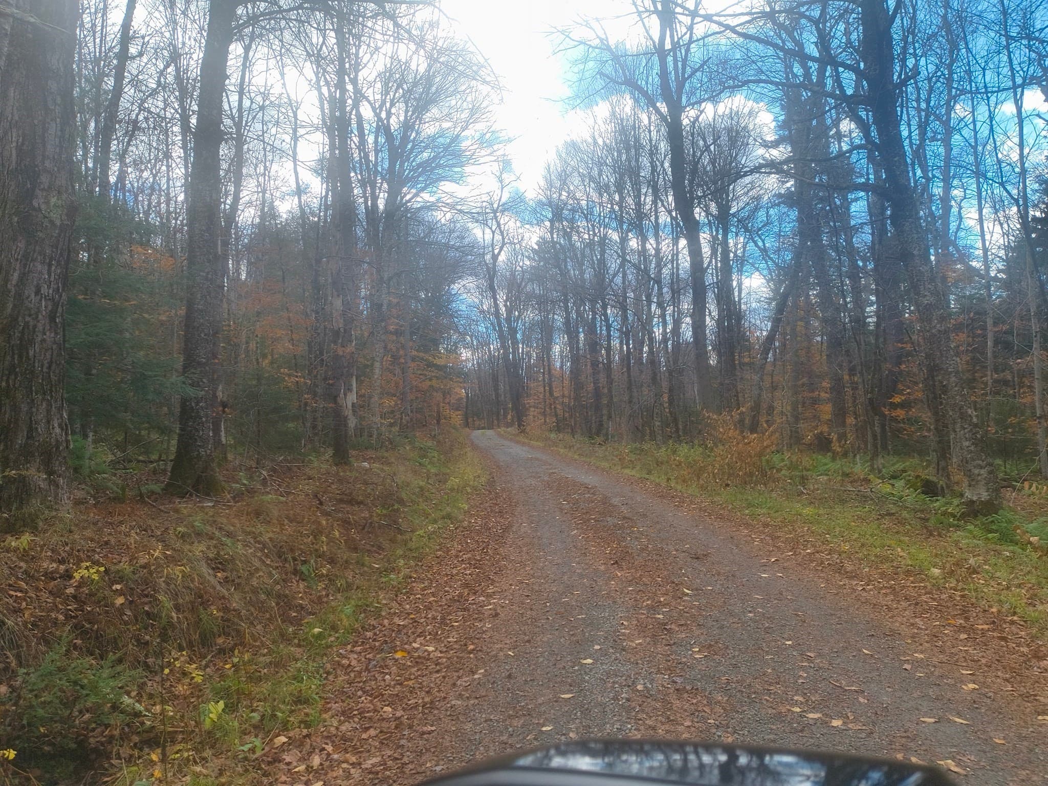 lot 16 Pierce Road, Peru MA 01235
