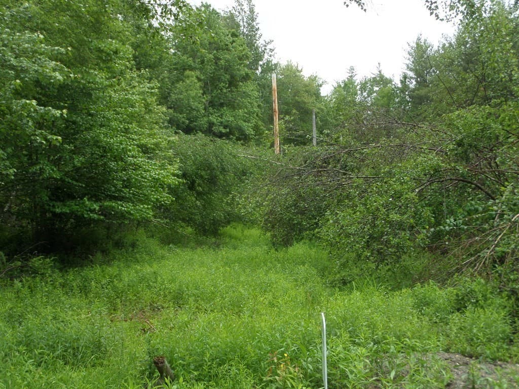 333 Ranney Corner Rd, Ashfield MA 01330 photo 6