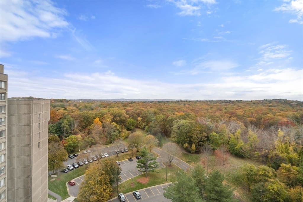 Condominium at 250 Hammond Pond Parkway # 1604N, Newton MA 02467, Newton, photo 9 of 27