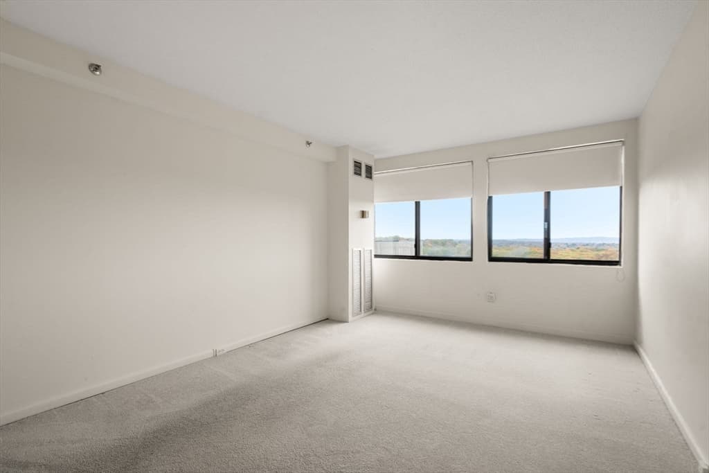 Condominium at 250 Hammond Pond Parkway # 1604N, Newton MA 02467, Newton, photo 14 of 27