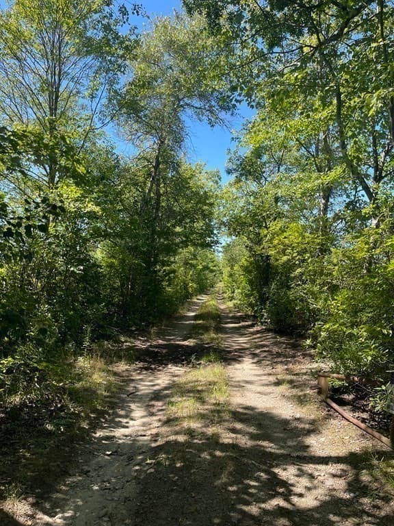 Agriculture at 148 Lot 1a Elm Street, Halifax MA 02338, photo 22 of 26