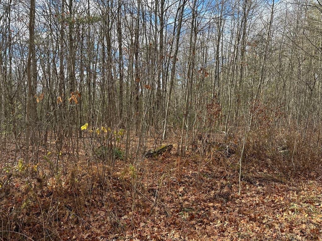 Lot 9 Jourdan Road, Montgomery MA 01085