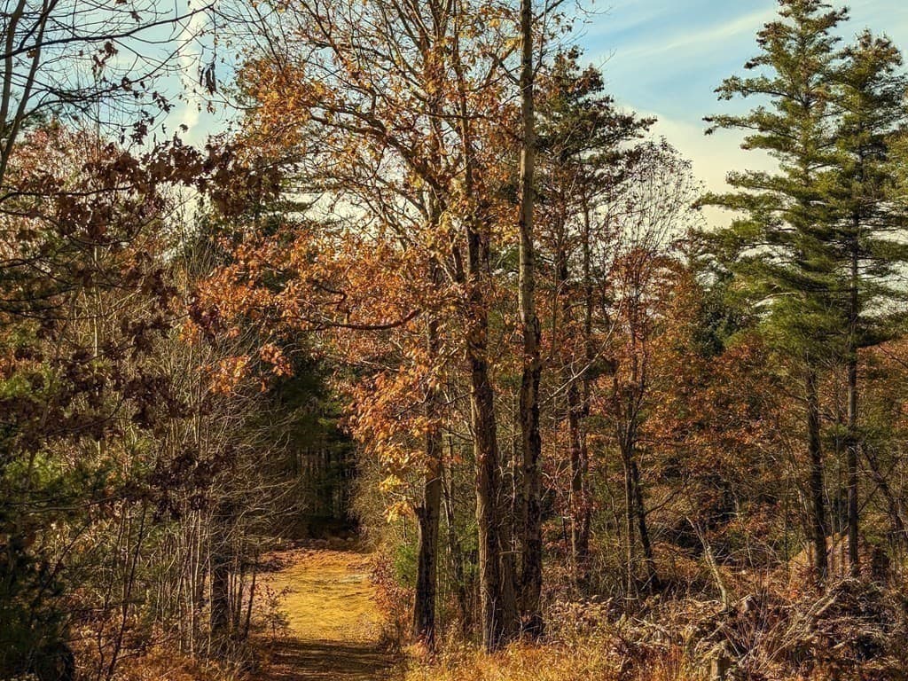 Single Family Residence at 514 Old County Rd., Wales MA 01081, Wales, photo 32 of 40