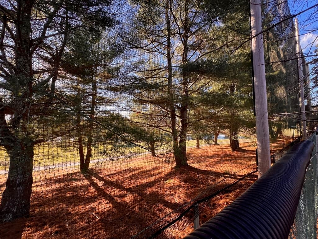31 Reservoir Ave, Lakeville MA 02347 photo 5