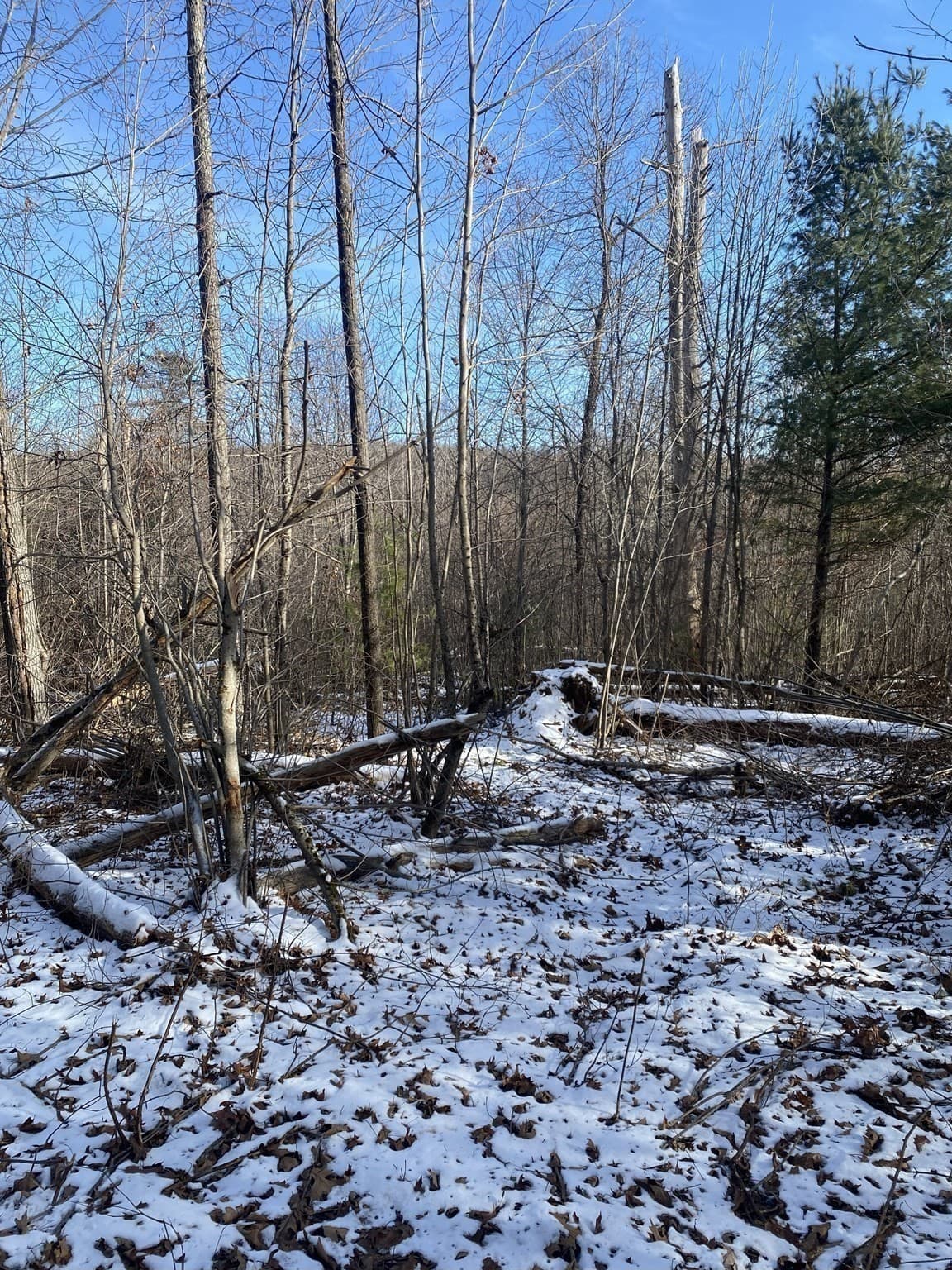 Residential at 121 & lt12 Sturbridge Rd, Brimfield MA 01010, photo 5 of 16