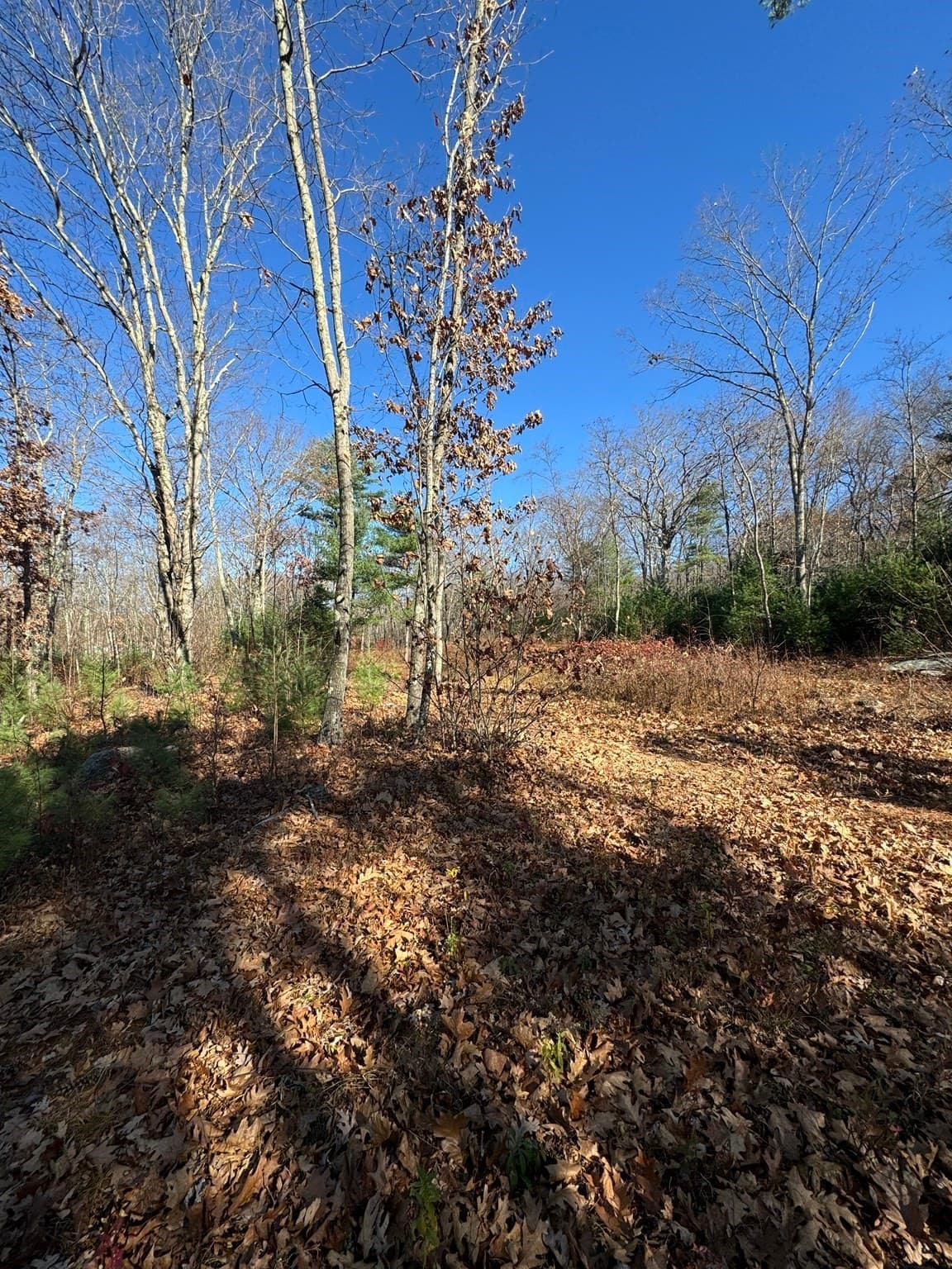 Residential at 138 Ragged Hill Rd, West Brookfield MA 01585, photo 9 of 23