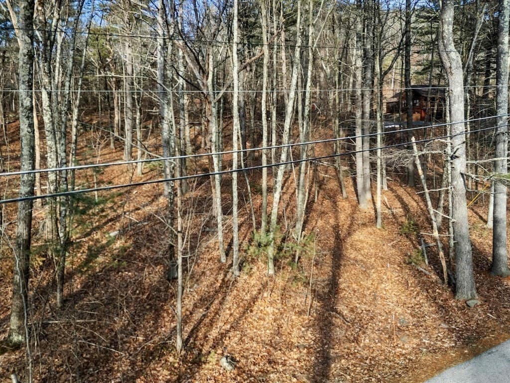 Residential at 429 Howard Street, Northborough MA 01532, Northborough, photo 8 of 10