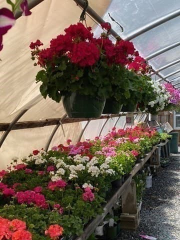 Commercial Sale at 398 W Main St, Groton MA 01450, photo 8 of 24