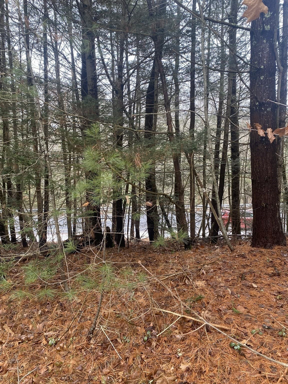 Residential at Lots 1&2 Wales Rd, Brimfield MA 01010, photo 9 of 11