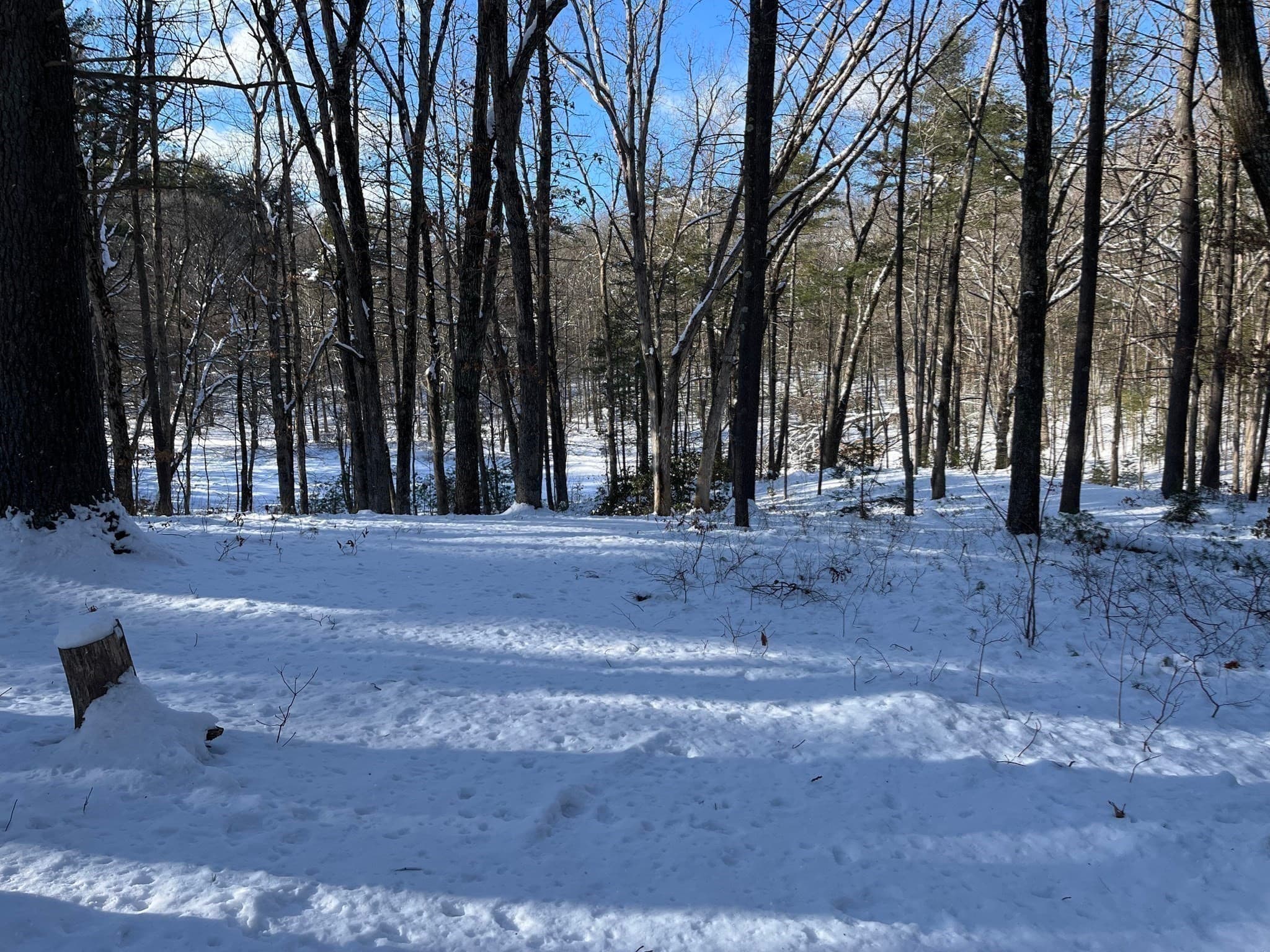 Residential at 723 Lot B Ryan Rd, Northampton MA 01062, Northampton, photo 6 of 20