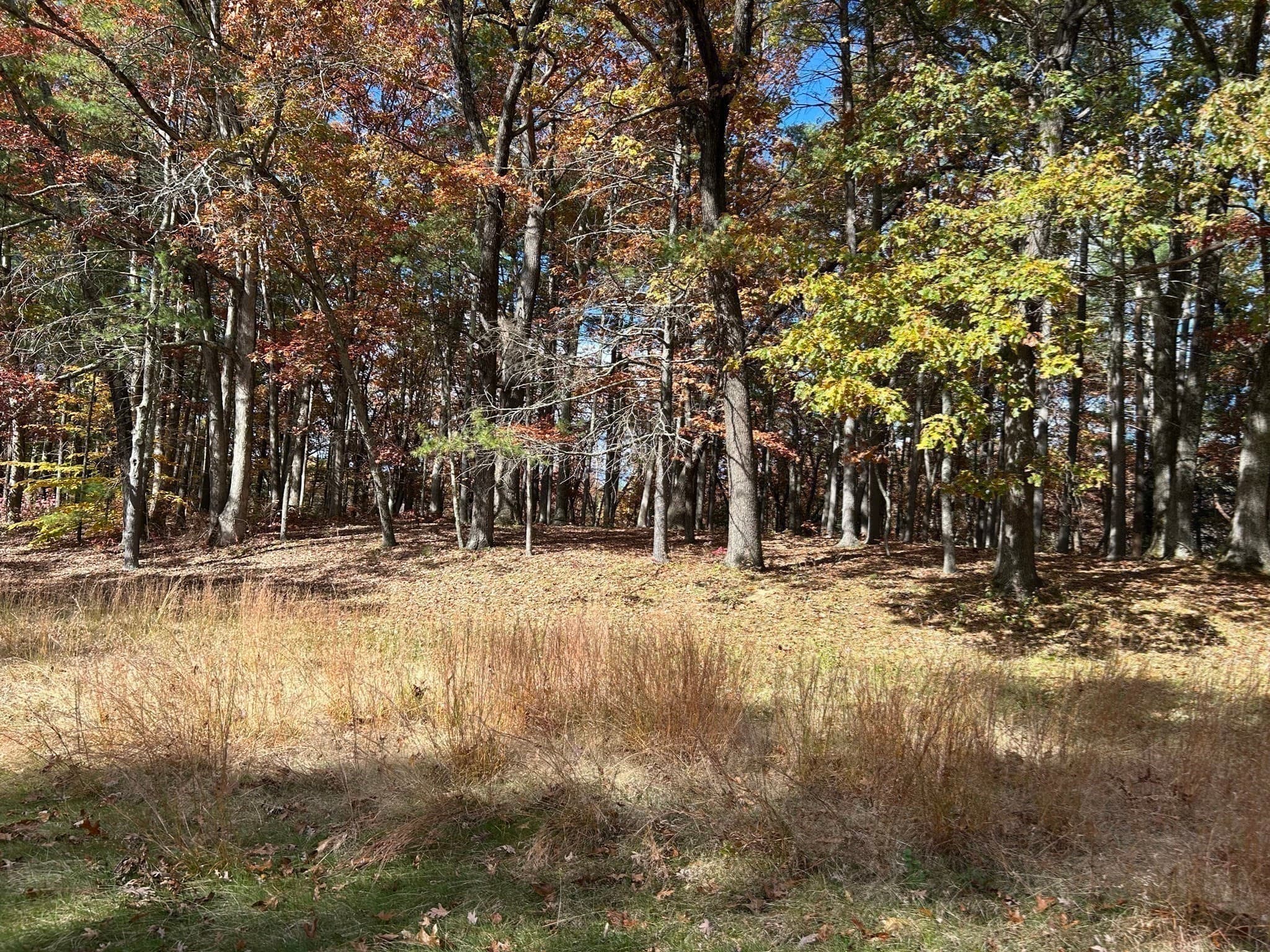 Residential at 723 Lot B Ryan Rd, Northampton MA 01062, Northampton, photo 17 of 20
