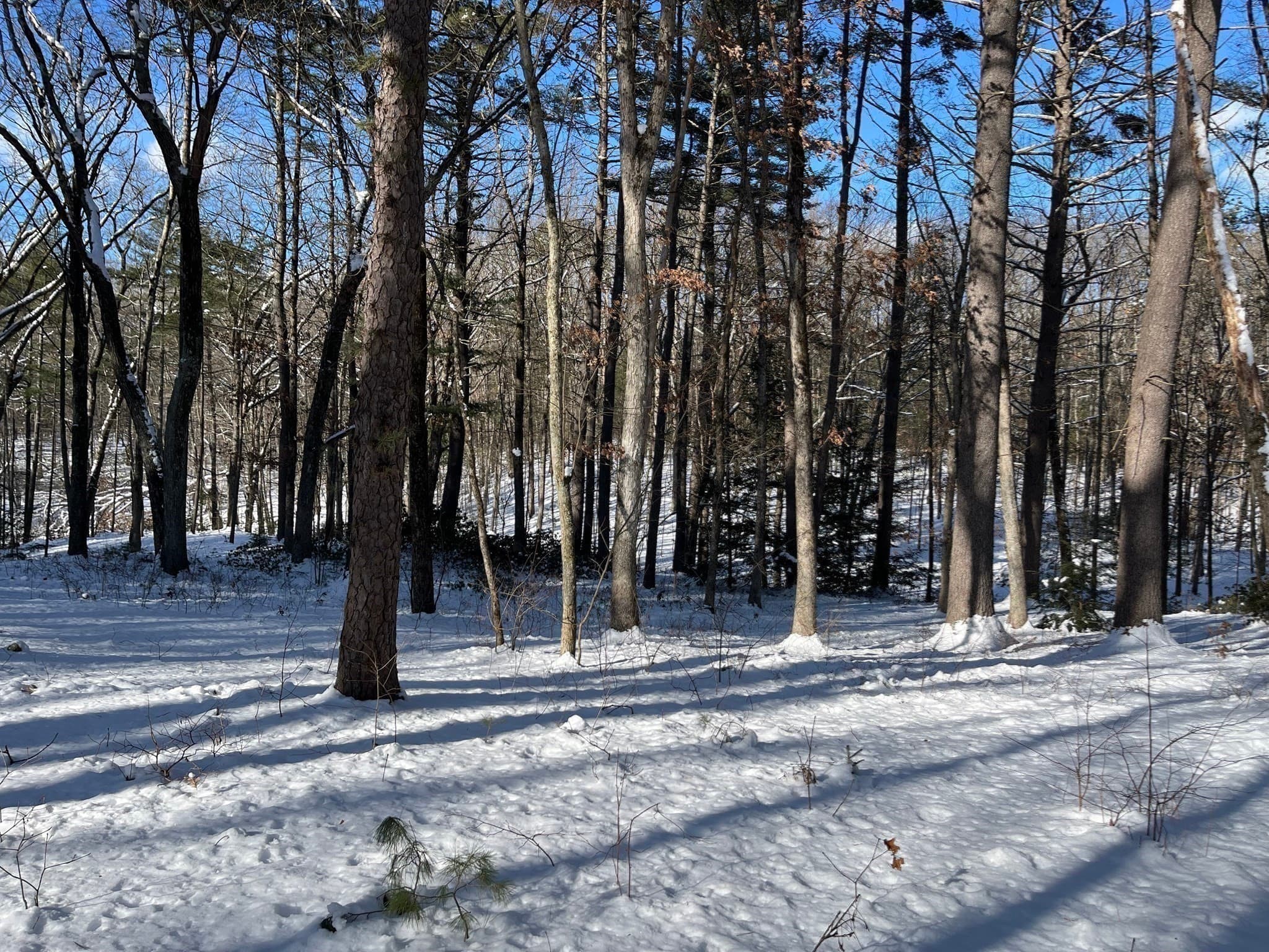 Residential at 723 Lot B Ryan Rd, Northampton MA 01062, Northampton, photo 12 of 20