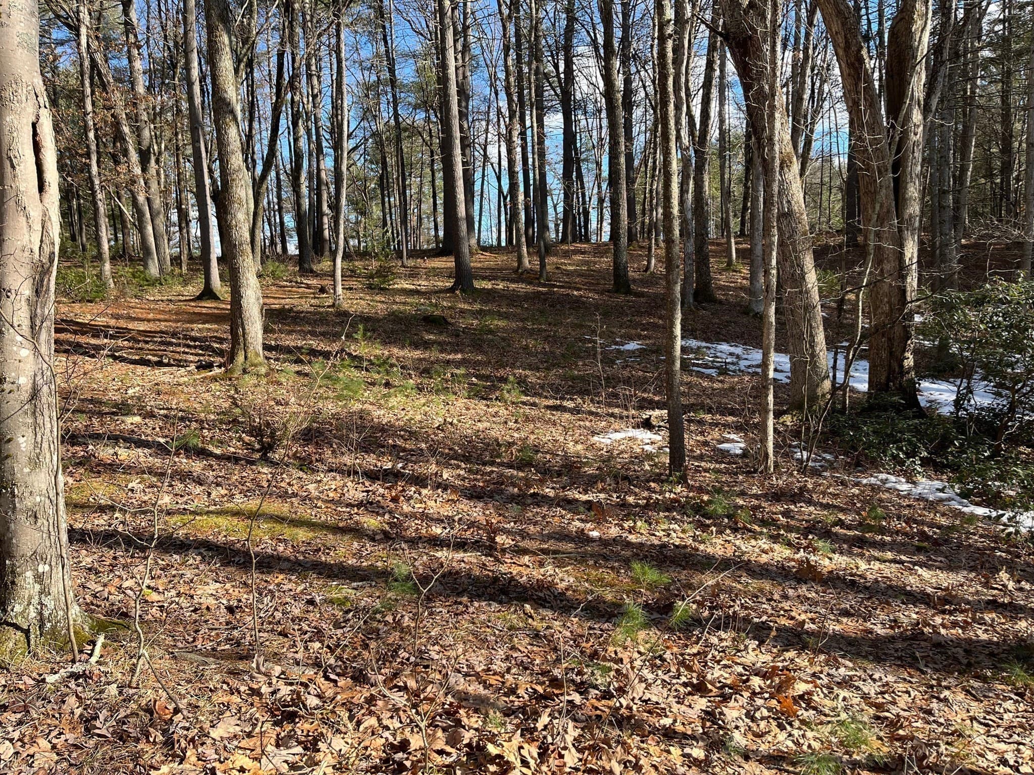 Residential at 723 Lot B Ryan Rd, Northampton MA 01062, Northampton, photo 5 of 20