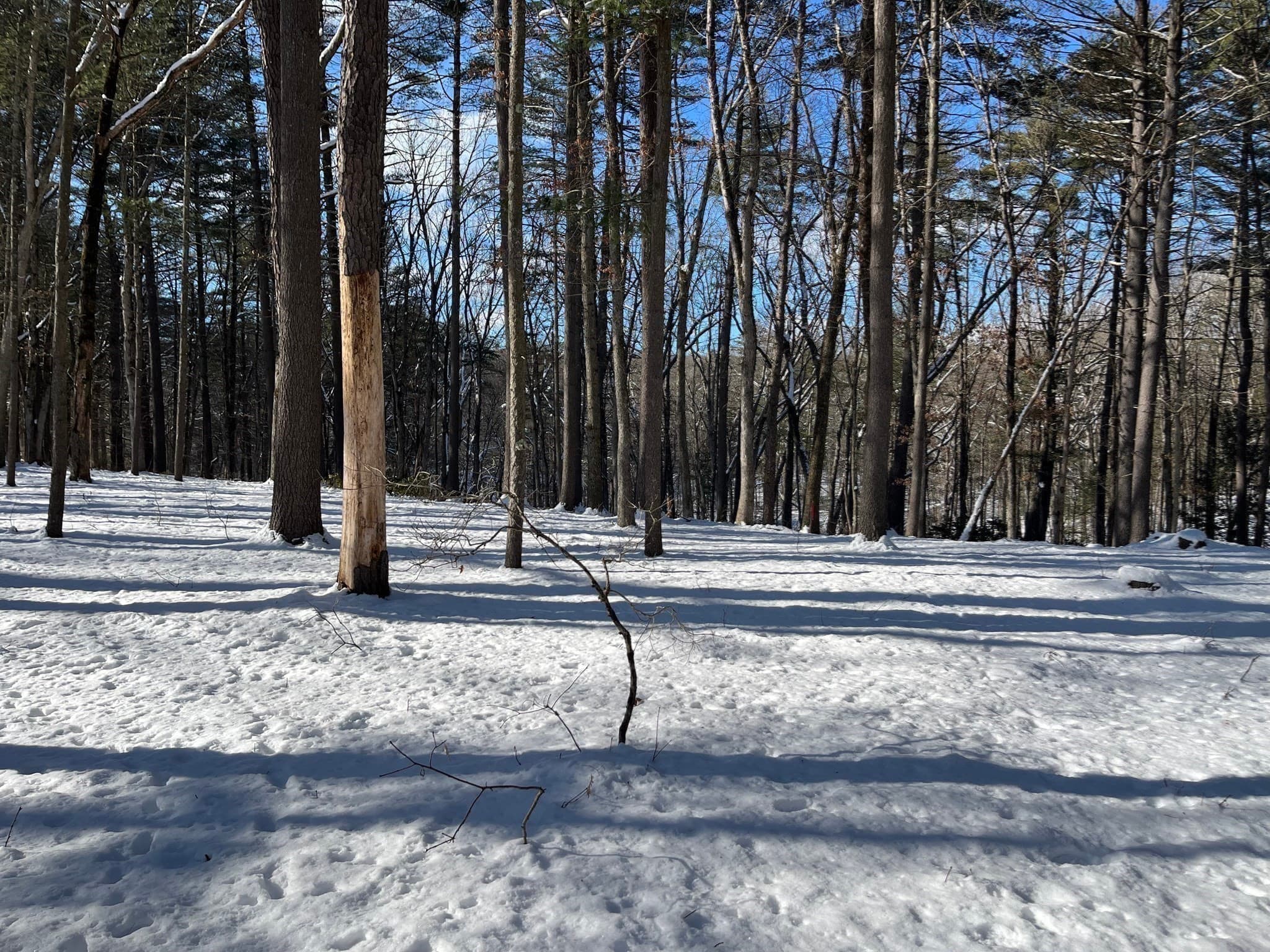 Residential at 723 Lot B Ryan Rd, Northampton MA 01062, Northampton, photo 10 of 20