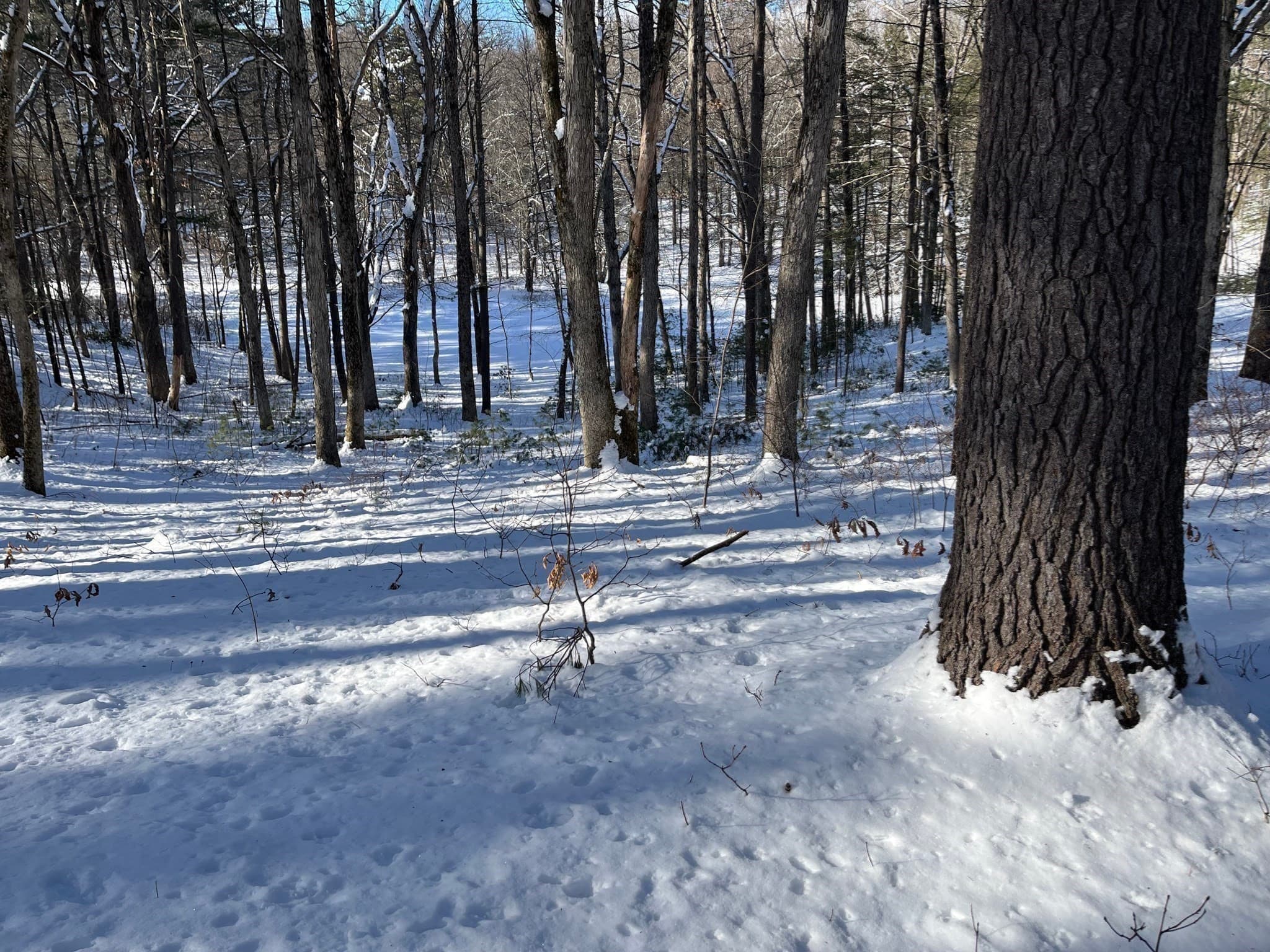 Residential at 723 Lot B Ryan Rd, Northampton MA 01062, Northampton, photo 14 of 20