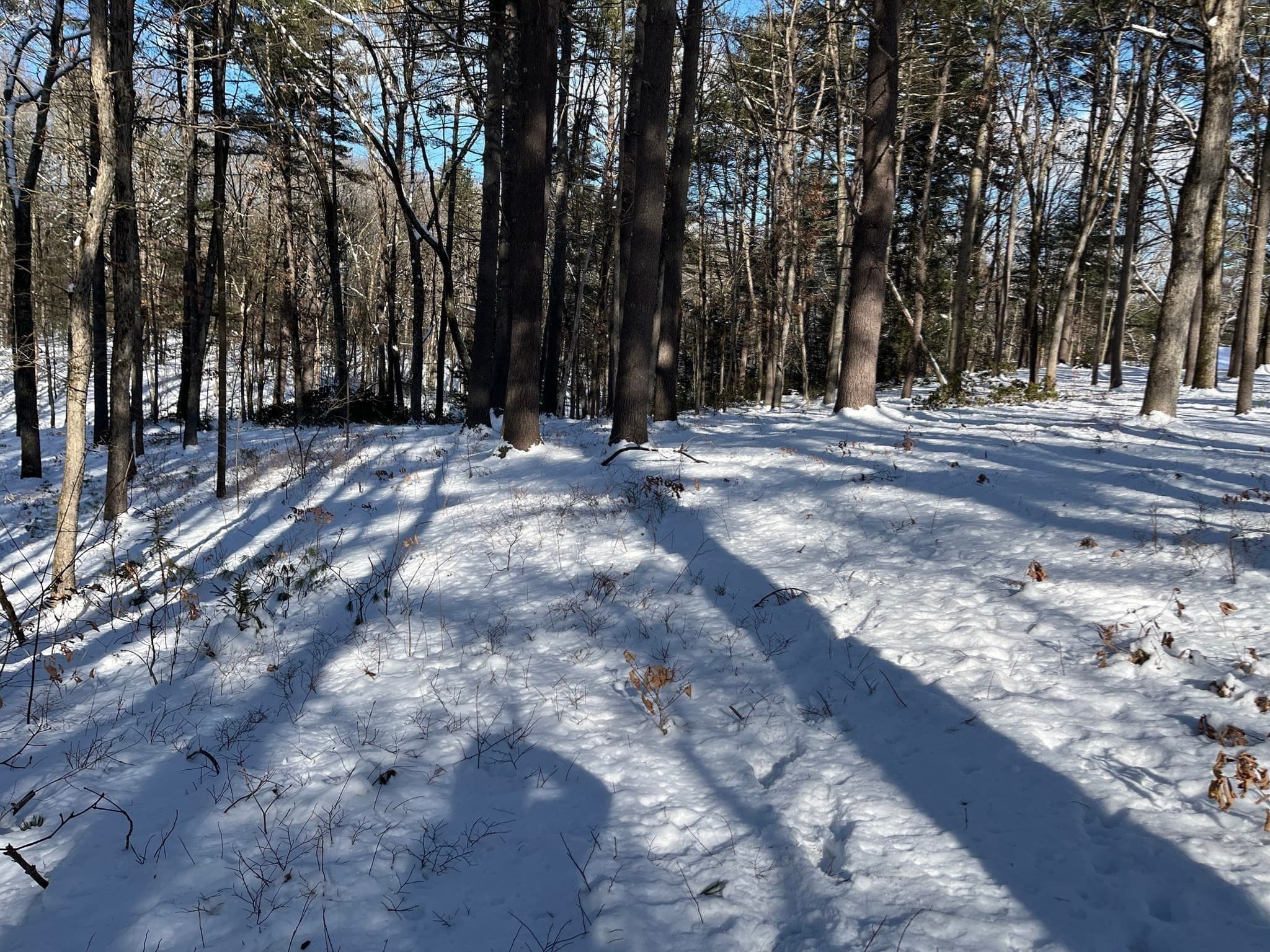 Residential at 723 Lot B Ryan Rd, Northampton MA 01062, Northampton, photo 15 of 20