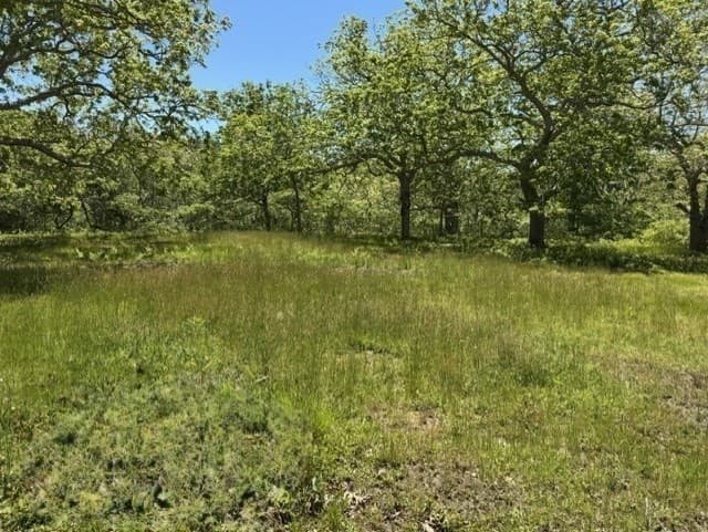 Single Family Residence at 45 Quenames Rd, Chilmark MA 02535, photo 12 of 12
