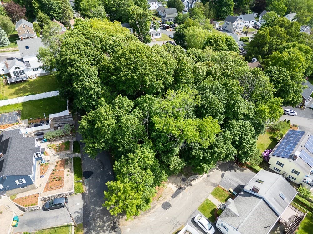 Residential at 0 Mount Pleasant St, Woburn MA 01801, Woburn, photo 6 of 18