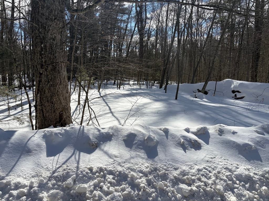 0 Fuller Rd, Goshen MA 01032 photo 5