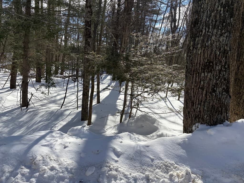 0 Fuller Rd, Goshen MA 01032 photo 4