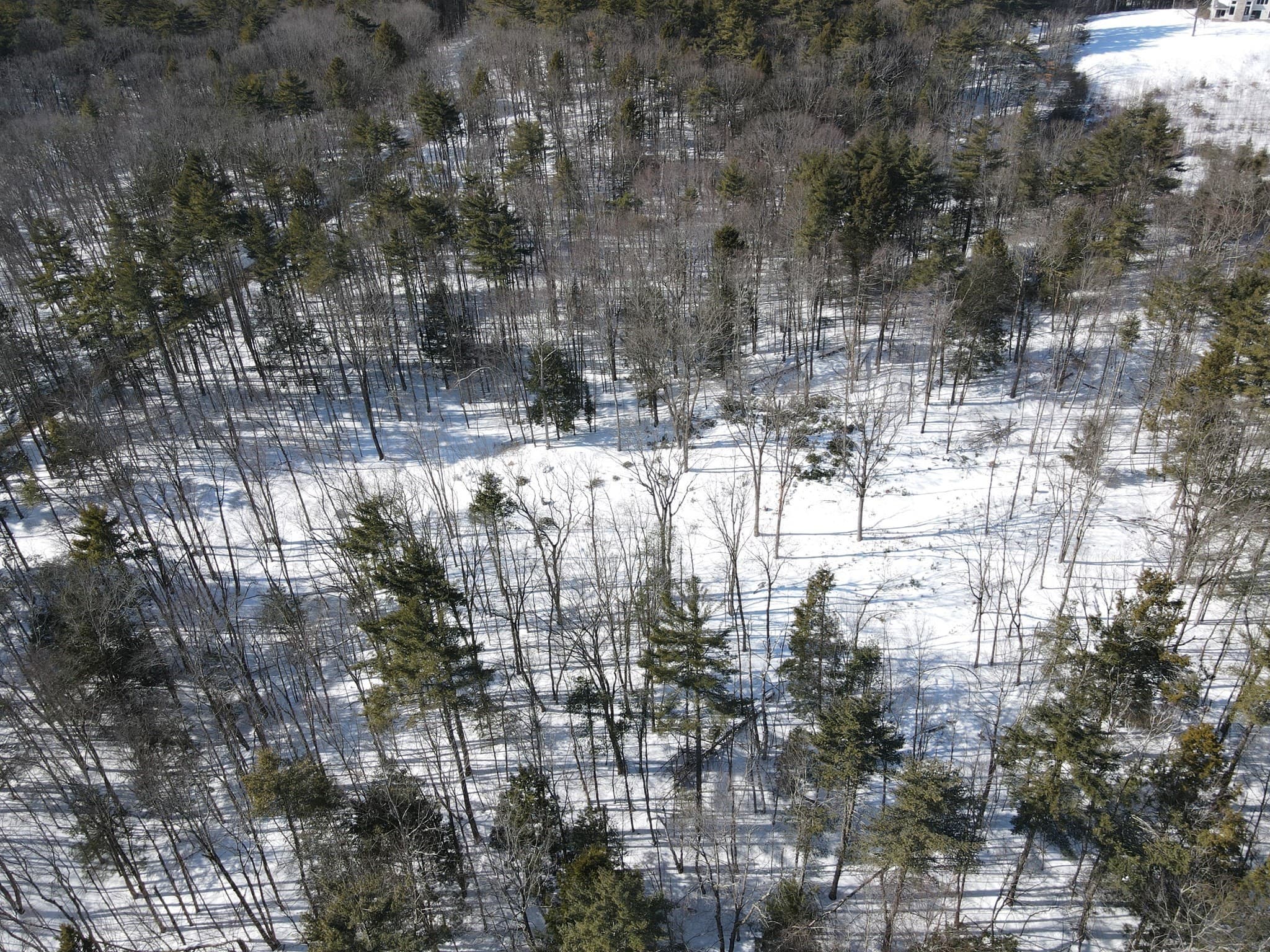 Residential at 0 Fox Hill Rd, Bernardston MA 01337, photo 13 of 18
