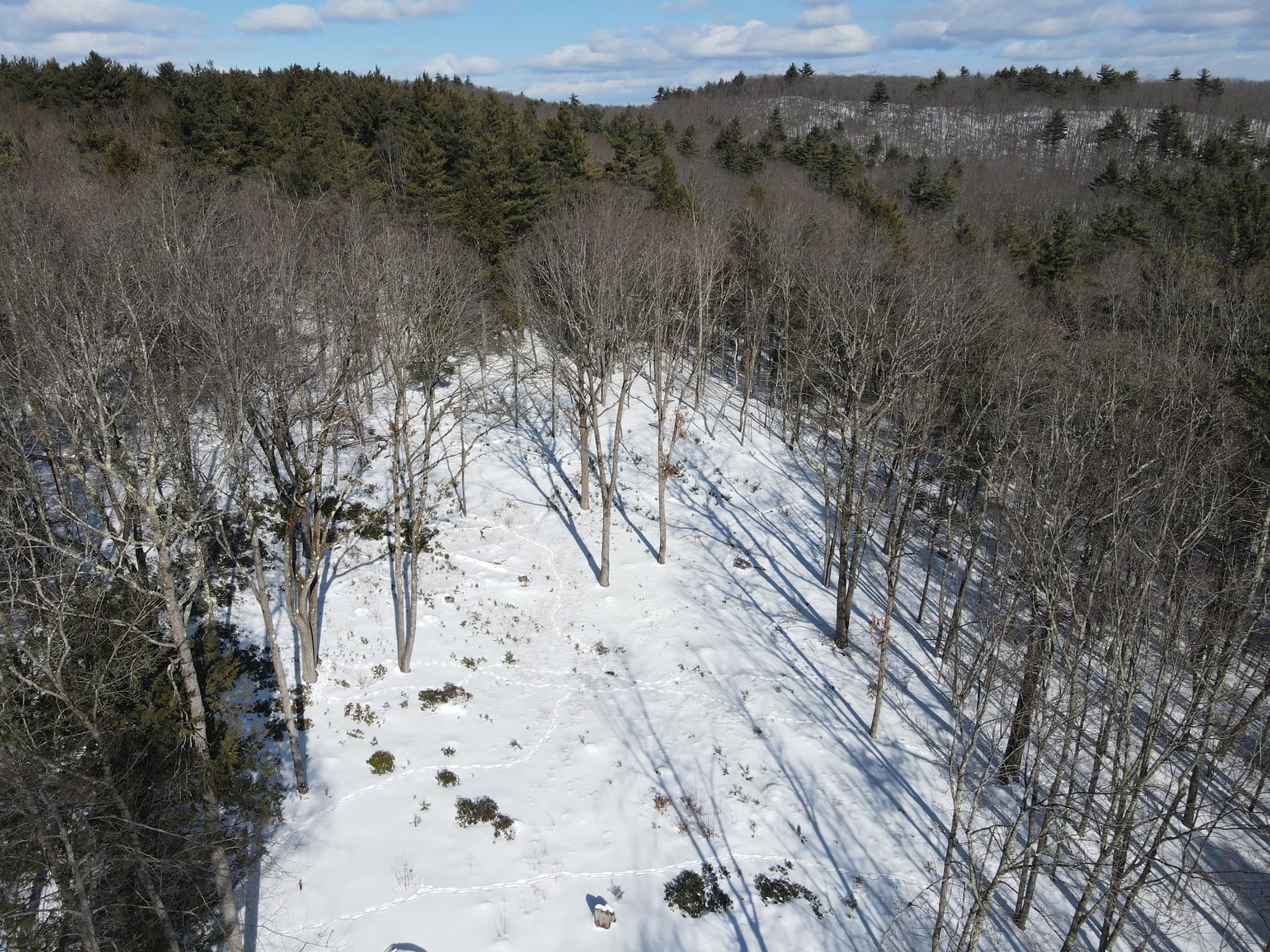 Residential at 0 Fox Hill Rd, Bernardston MA 01337, photo 3 of 18
