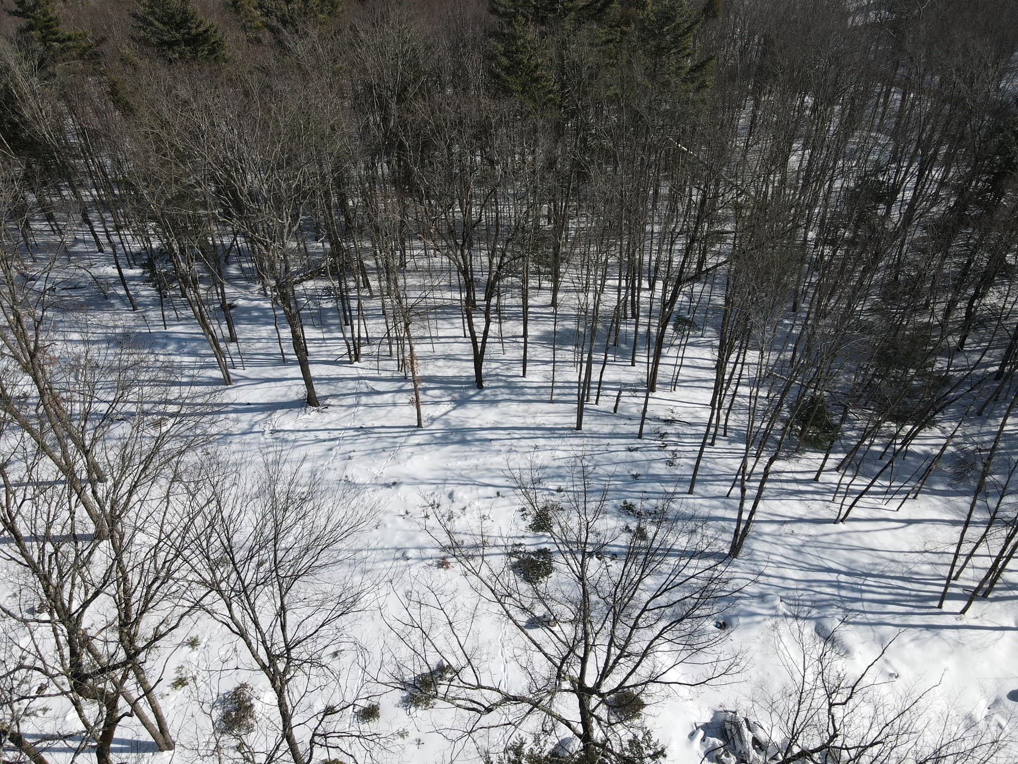 Residential at 0 Fox Hill Rd, Bernardston MA 01337, photo 5 of 18