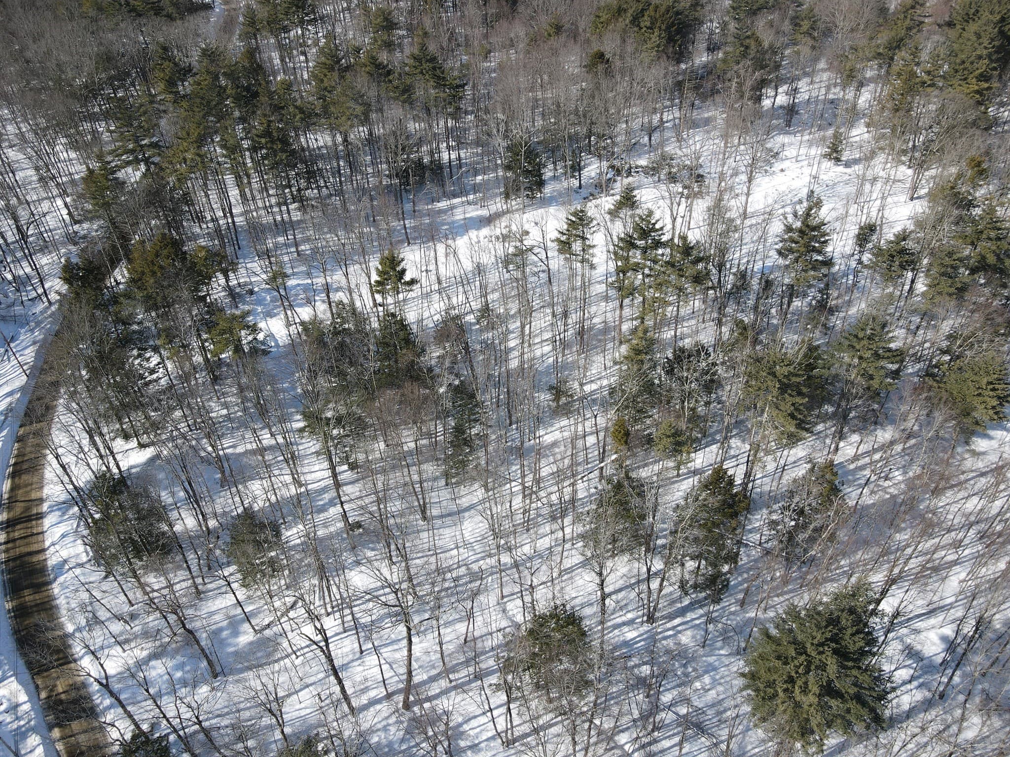 Residential at 0 Fox Hill Rd, Bernardston MA 01337, photo 15 of 18