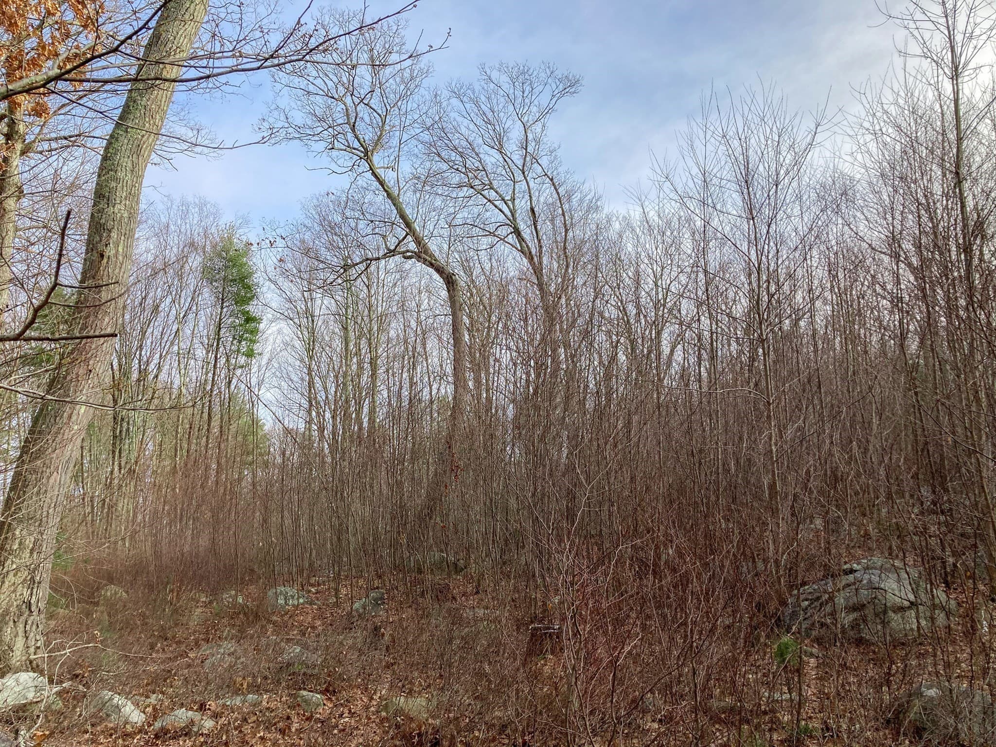 Residential at 183 Blackstone St, Mendon MA 01756, photo 7 of 9