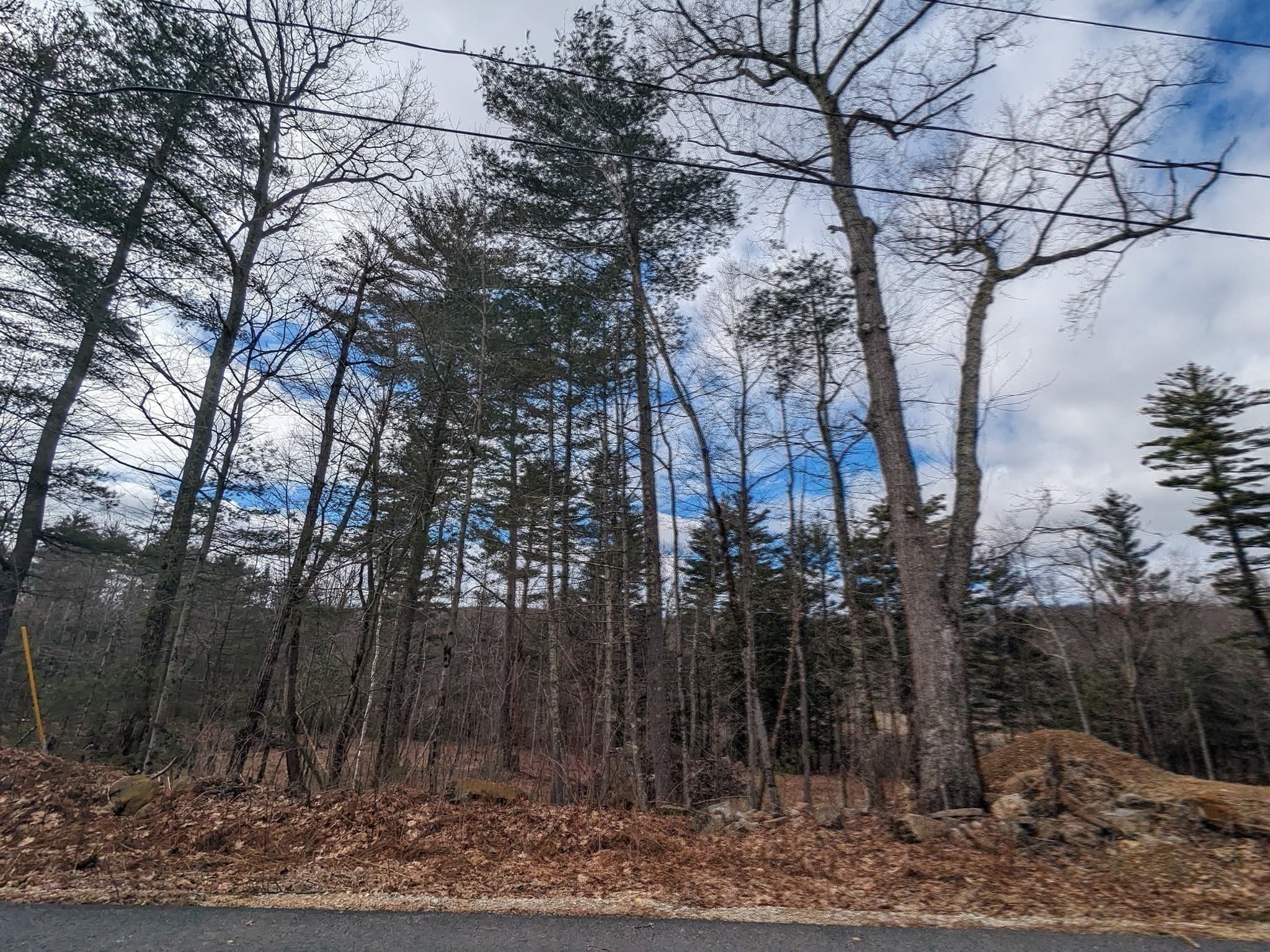Single Family Residence at Lot 5 /510 Old County Rd., Wales MA 01081, Wales, photo 34 of 39