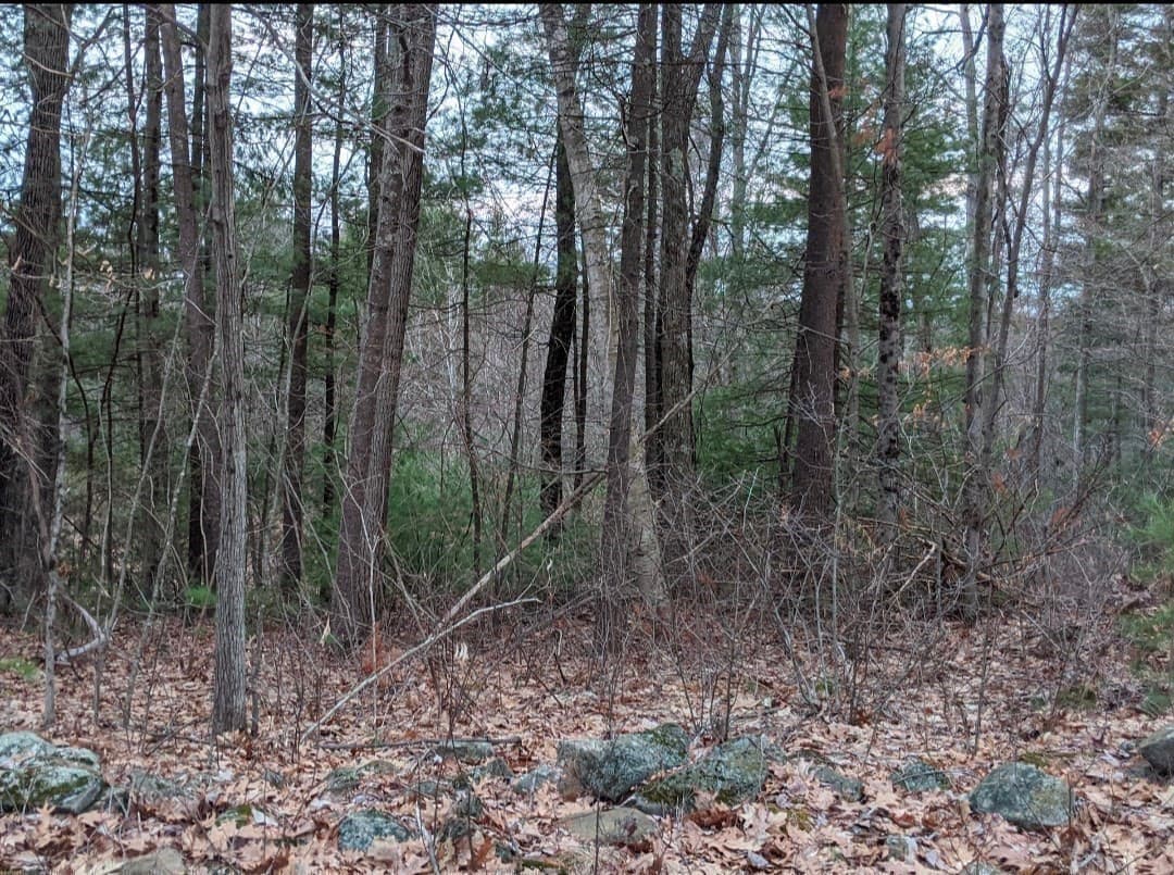 Single Family Residence at 508 Old County Rd., Wales MA 01081, Wales, photo 33 of 42