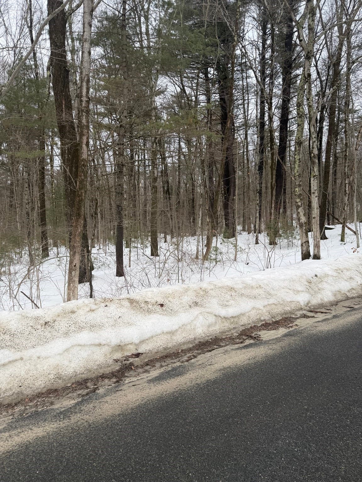 166V Beebe Rd, Monson MA 01057