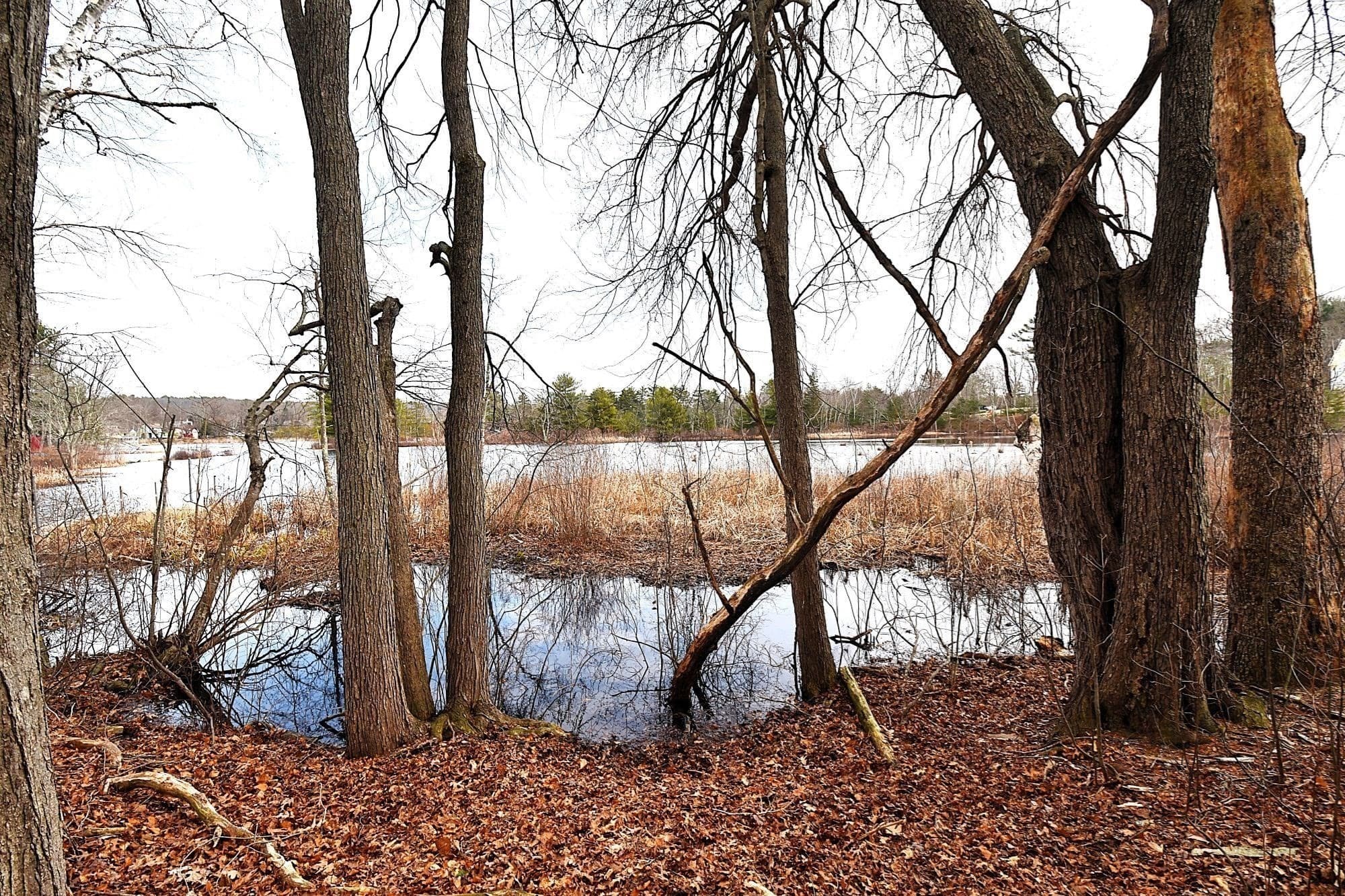 Residential at 16 Black Point Rd, Webster MA 01570, Webster, photo 11 of 14