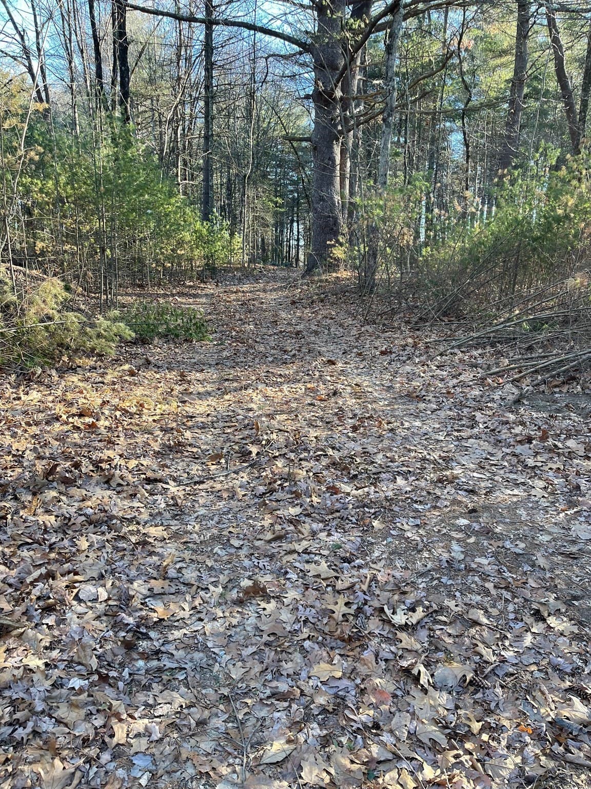 Residential at Lot 38 Michael Sears, Belchertown MA 01007, Belchertown, photo 2 of 4