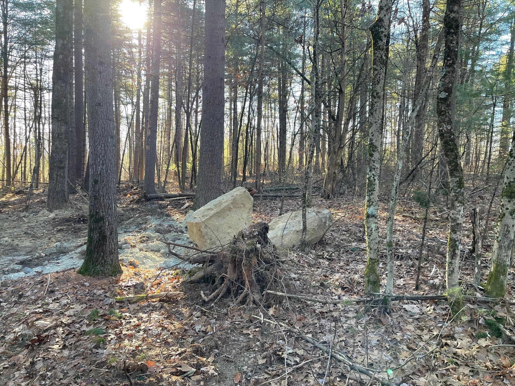 Residential at Lot 38 Michael Sears, Belchertown MA 01007, Belchertown, photo 4 of 4
