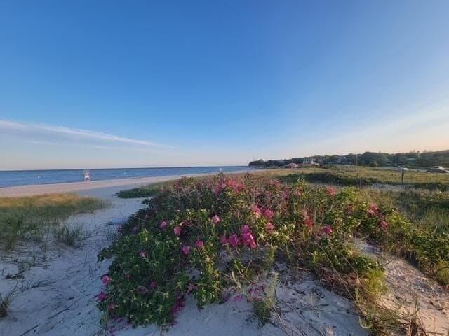 Single Family Residence at 177 Bayview Cir, Barnstable MA 02655, photo 31 of 38