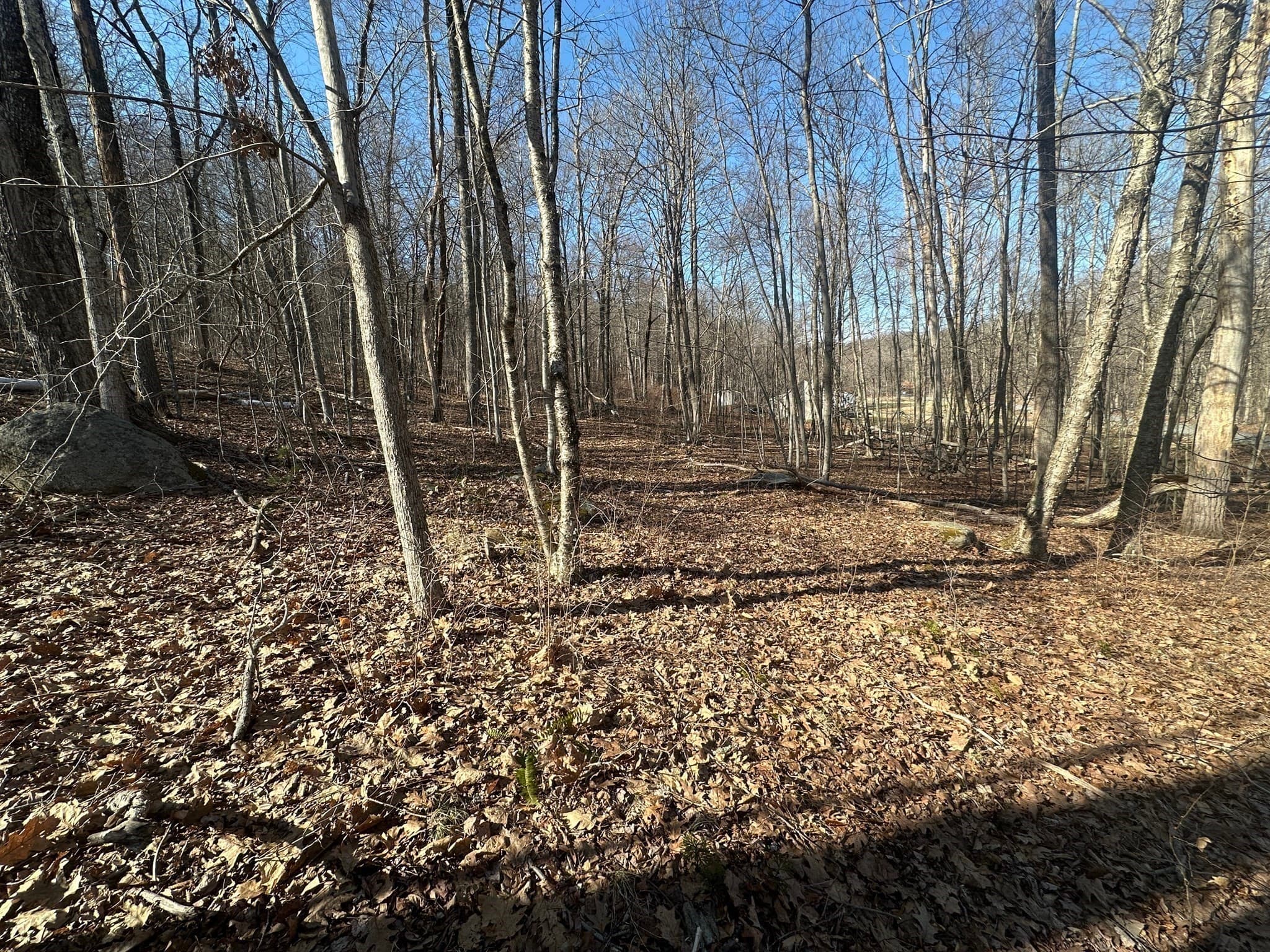 Residential at Lot 1 Woodhill Rd, Monson MA 01057, photo 6 of 9