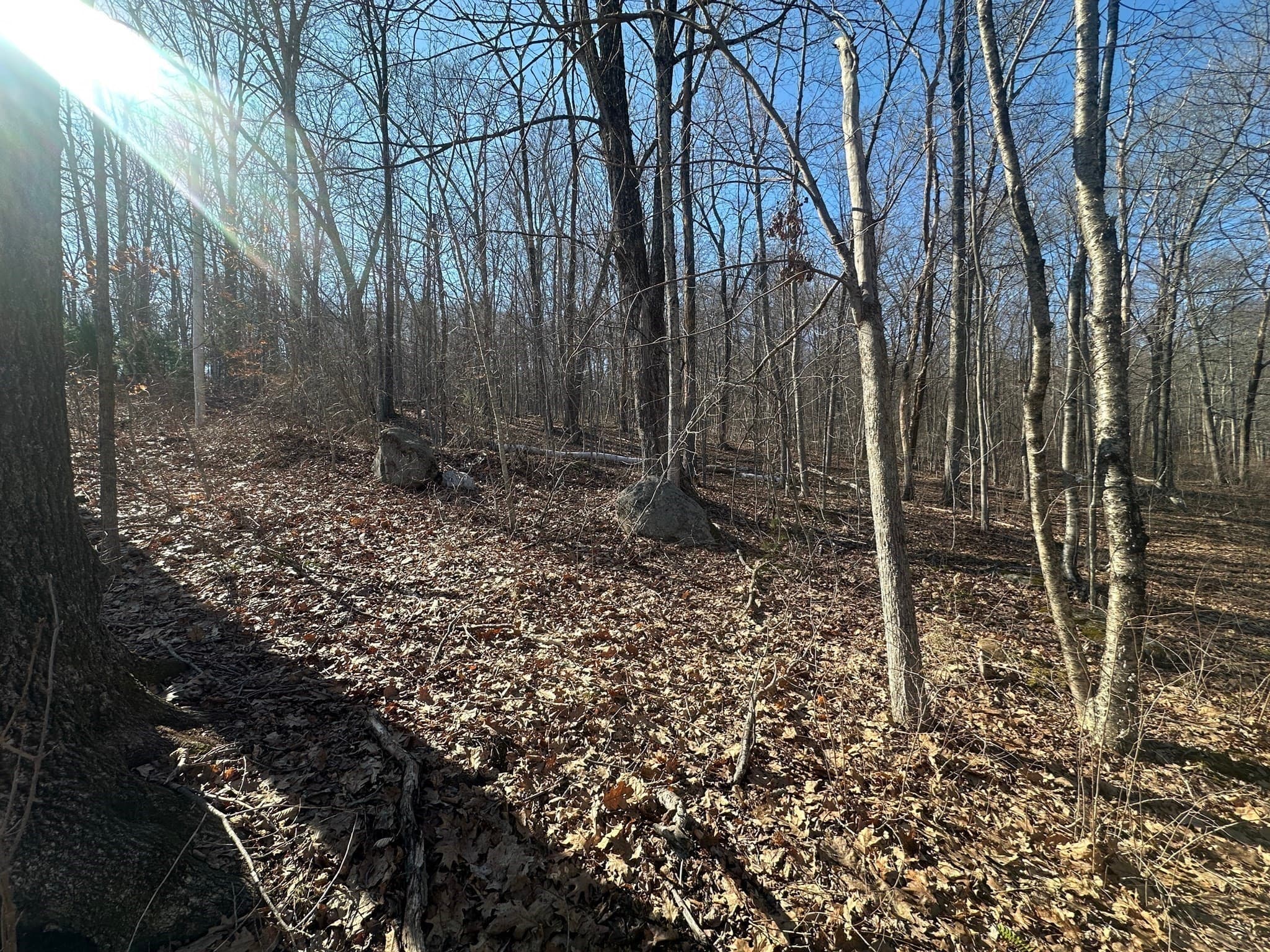 Residential at Lot 1 Woodhill Rd, Monson MA 01057, photo 7 of 9
