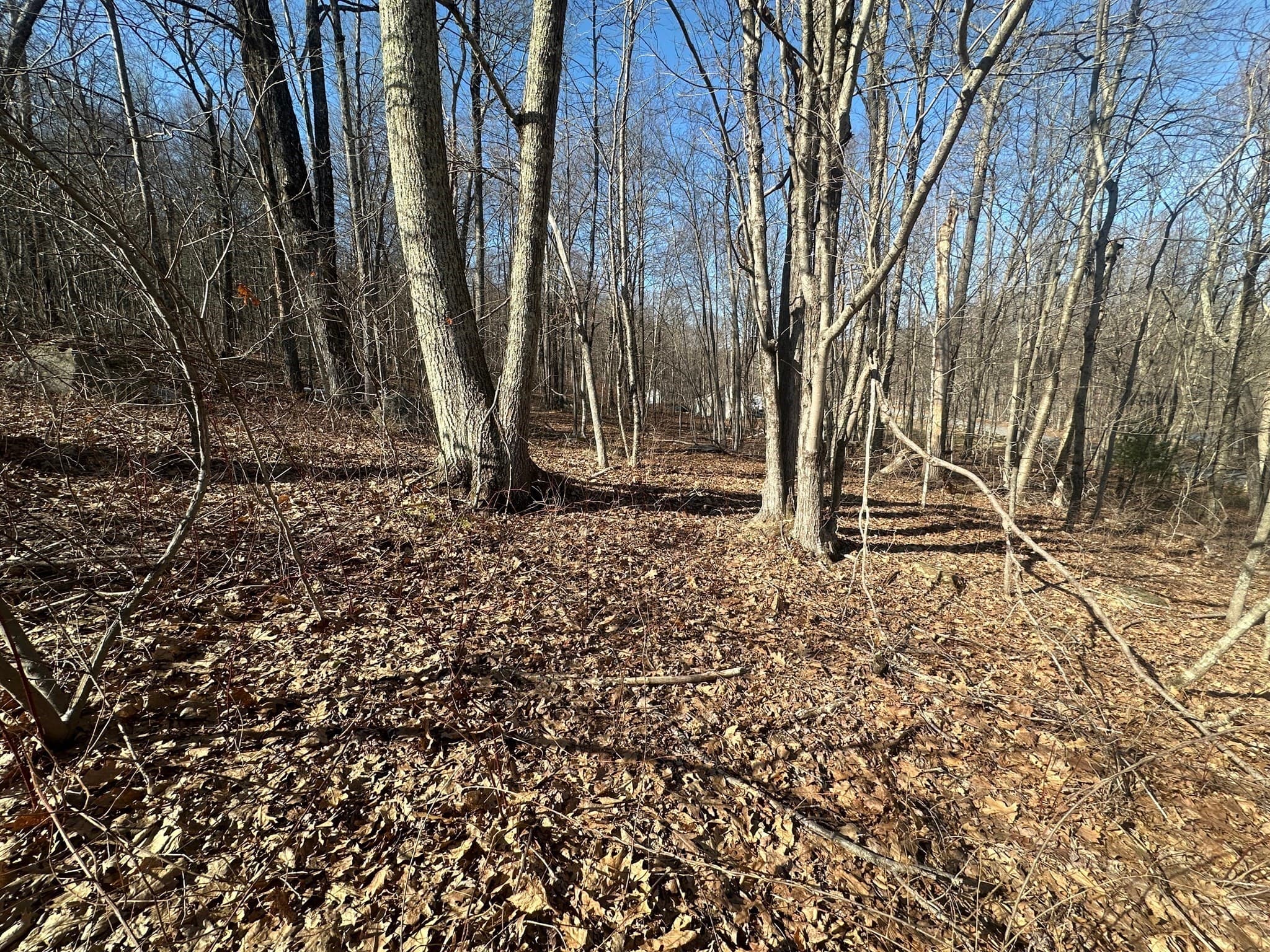 Lot 1 Woodhill Rd, Monson MA 01057