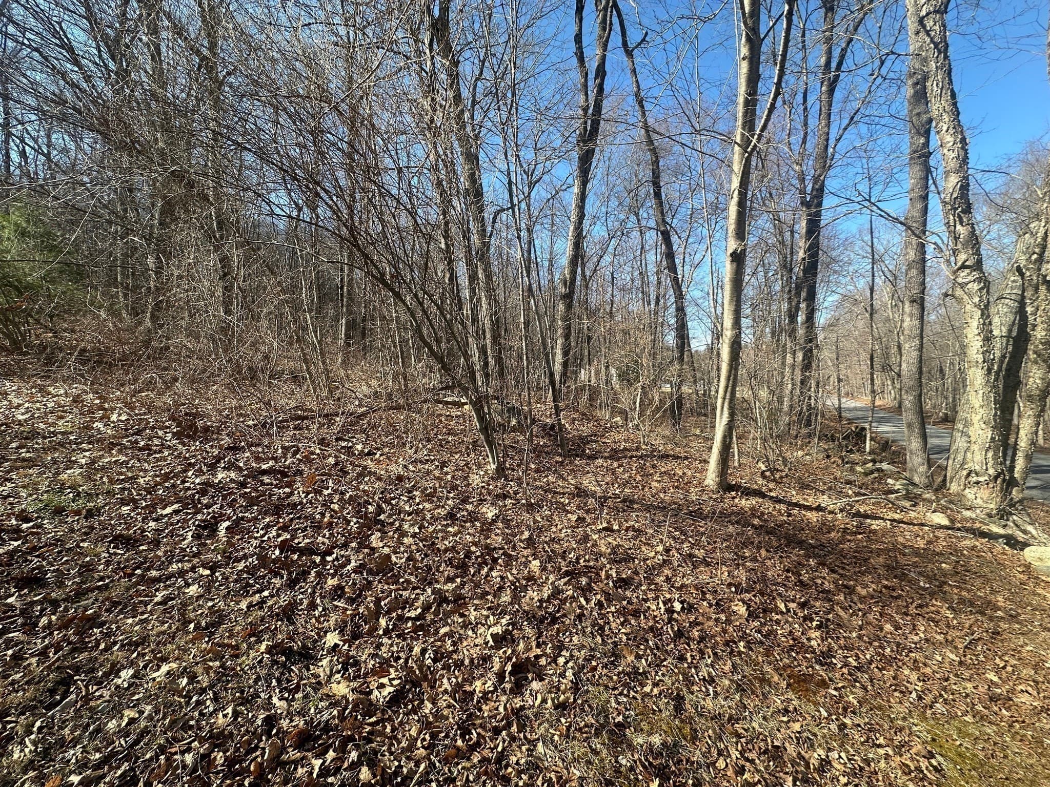 Residential at Lot 1 Woodhill Rd, Monson MA 01057, photo 5 of 9