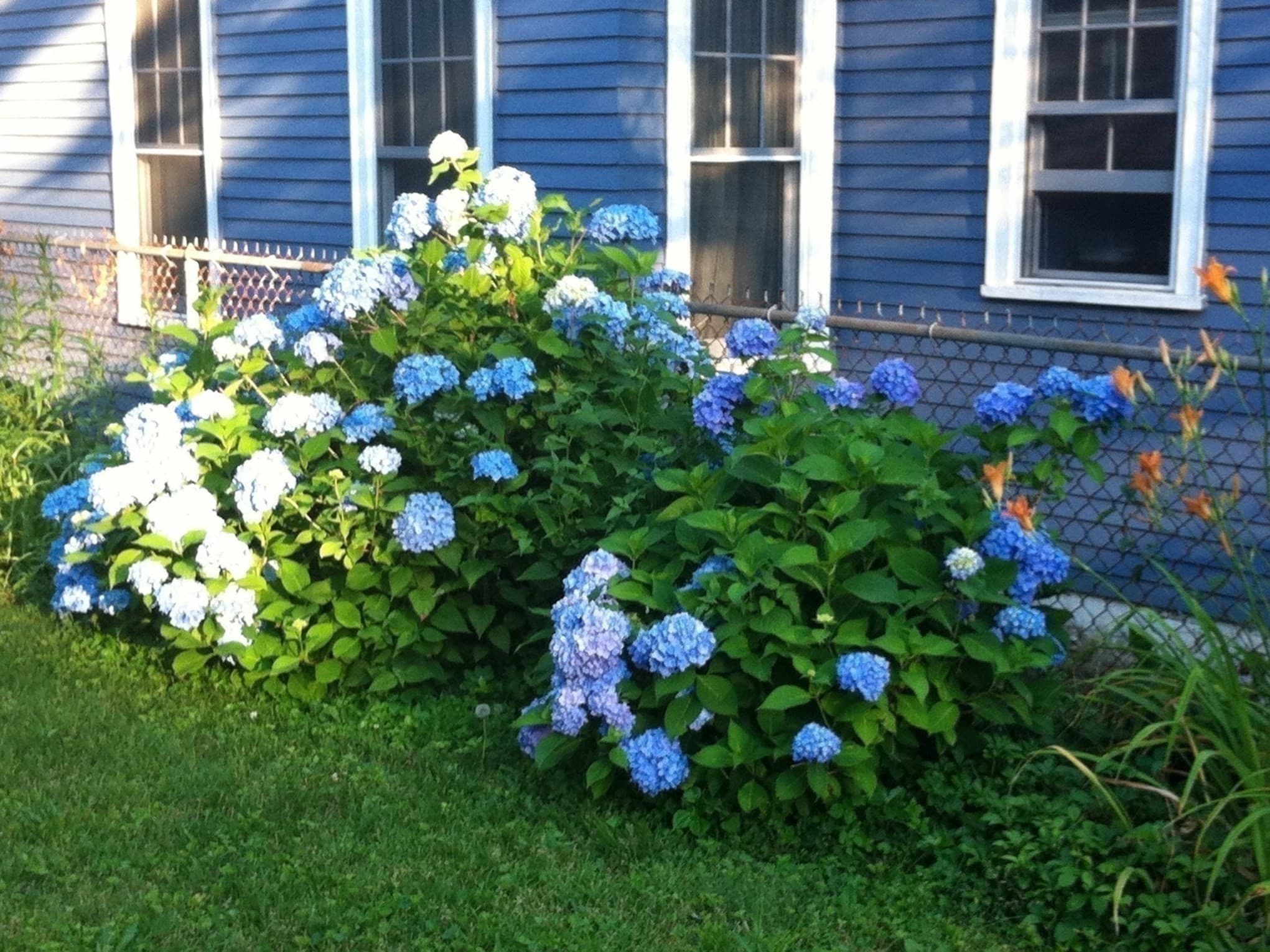 Single Family Residence at 23 Germain St, Worcester MA 01602, Worcester, photo 38 of 42
