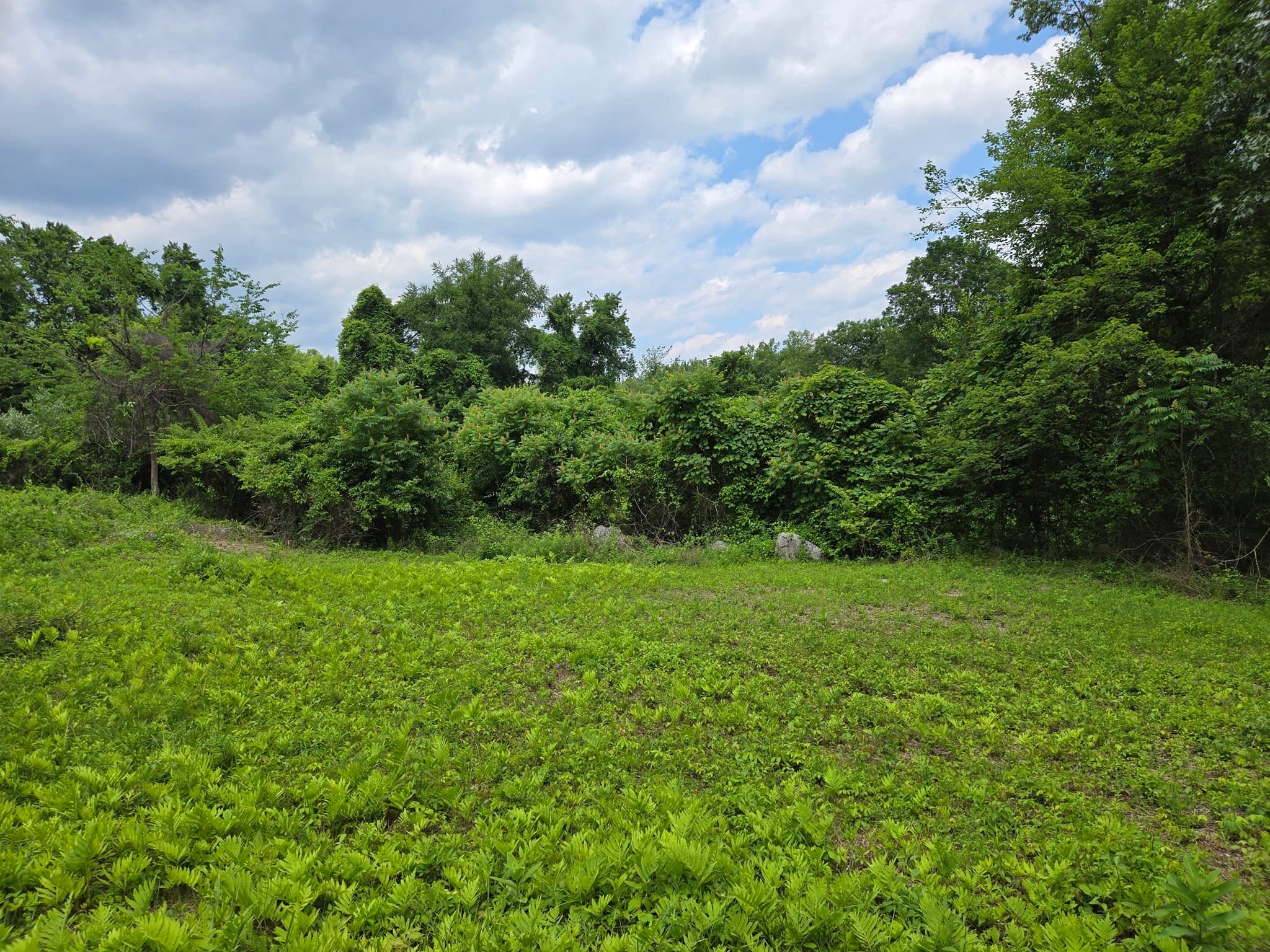 0 Old Stage Rd, Hatfield MA 01088