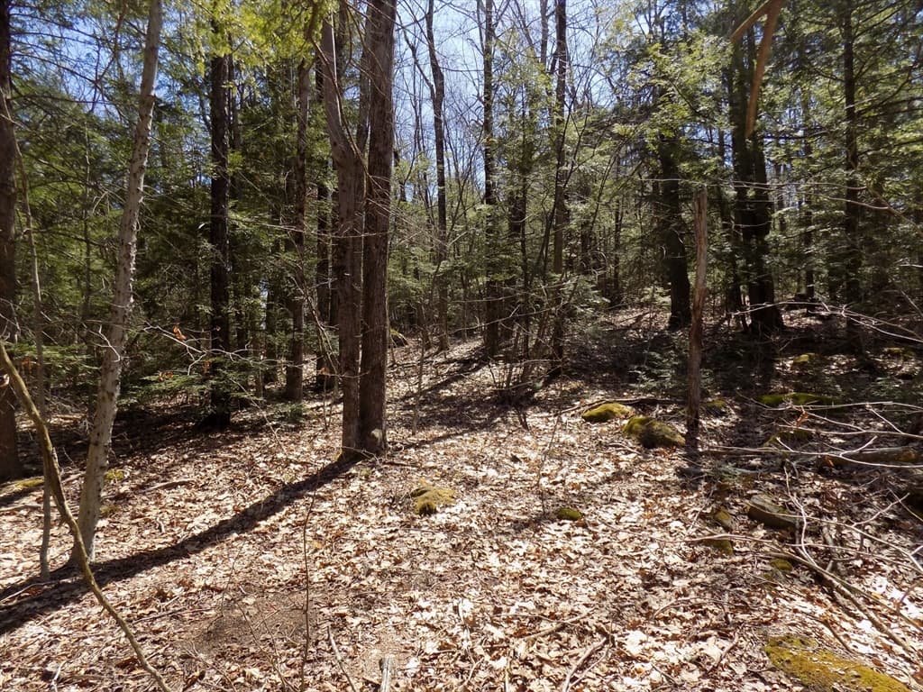 Lot 7 Skyline Ridge Rd., Becket MA 01223 photo 6