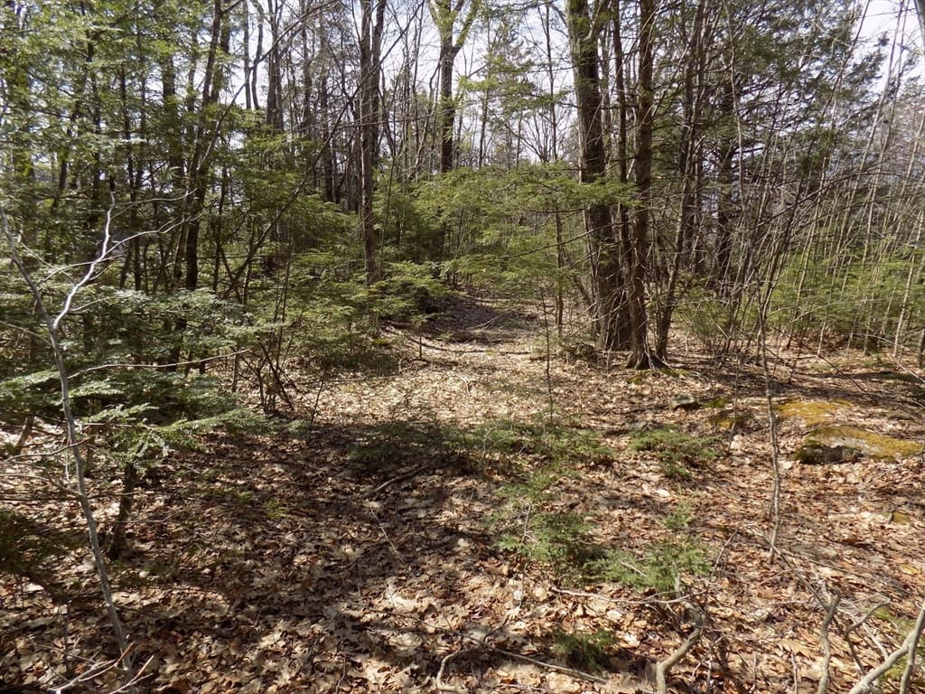 Lot 7 Skyline Ridge Rd., Becket MA 01223 photo 12