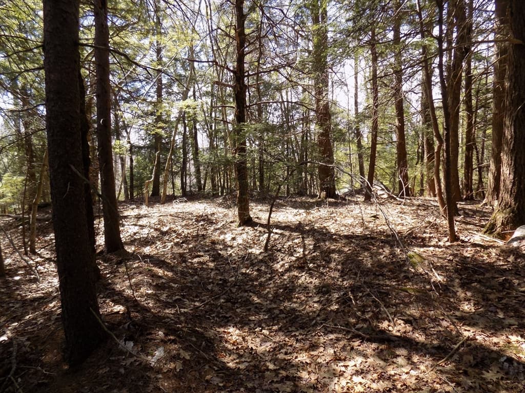 Lot 7 Skyline Ridge Rd., Becket MA 01223 photo 10