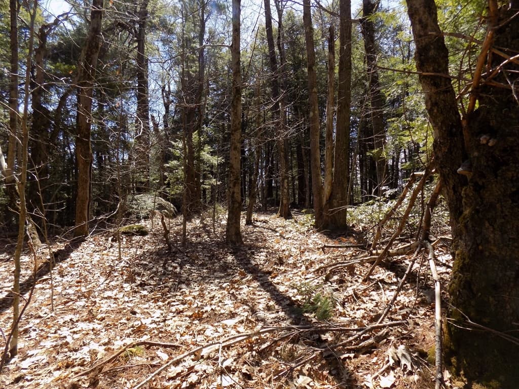 Lot 7 Skyline Ridge Rd., Becket MA 01223 photo 8